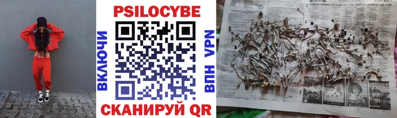 Купить  Яровое  Галлюциногенные грибы мицелий 